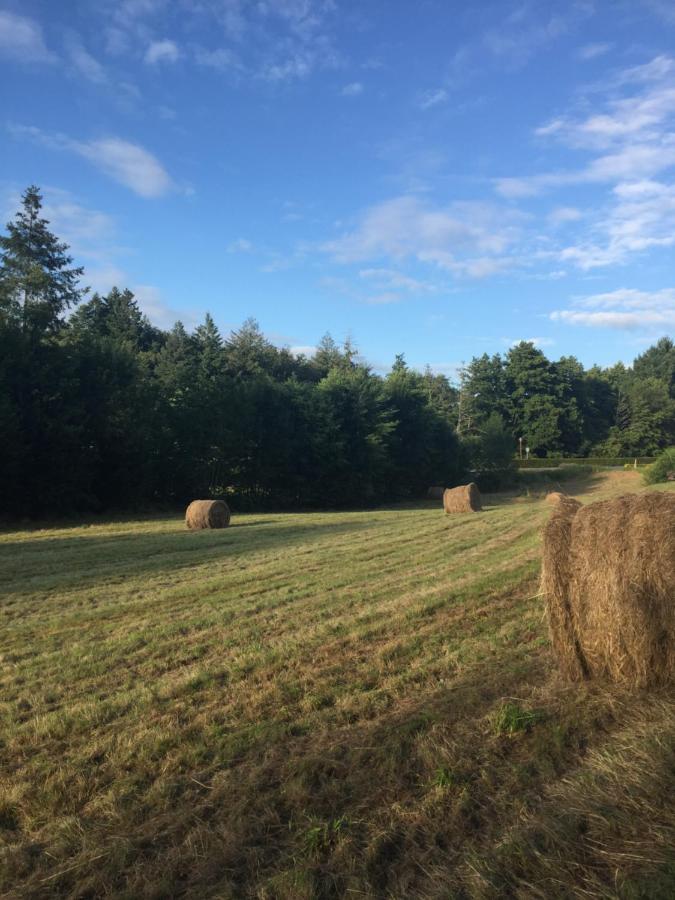 Slashdindonneau Chirac  Buitenkant foto